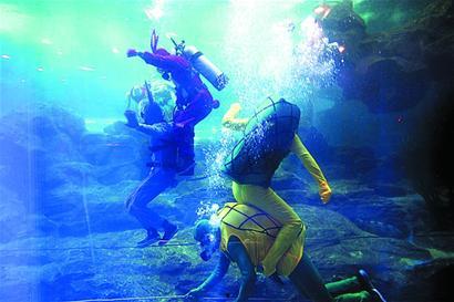 海底世界cf最新爆料,CF最新爆料揭秘海底世界新篇章